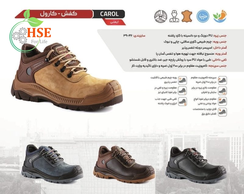کفش ایمنی کارول اکولوژی