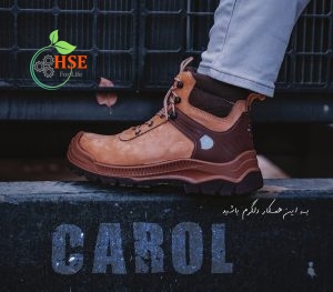 پوتین ایمنی کارول اکولوژی
