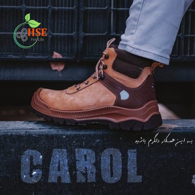 پوتین ایمنی کارول اکولوژی
