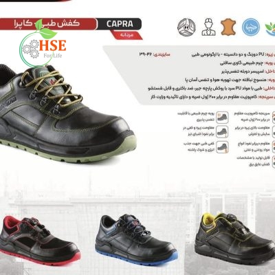کفش ایمنی کاپرا اکولوژی