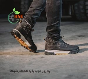 پوتین ایمنی پادرا اکولوژی