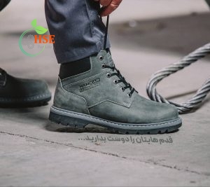 پوتین ایمنی پازل اکولوژی