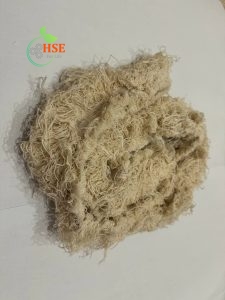 سرنخ حاشیه 100 درصد پنبه‌ای برای جذب روغن