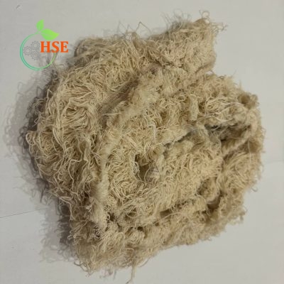 سرنخ حاشیه 100 درصد پنبه‌ای برای جذب روغن